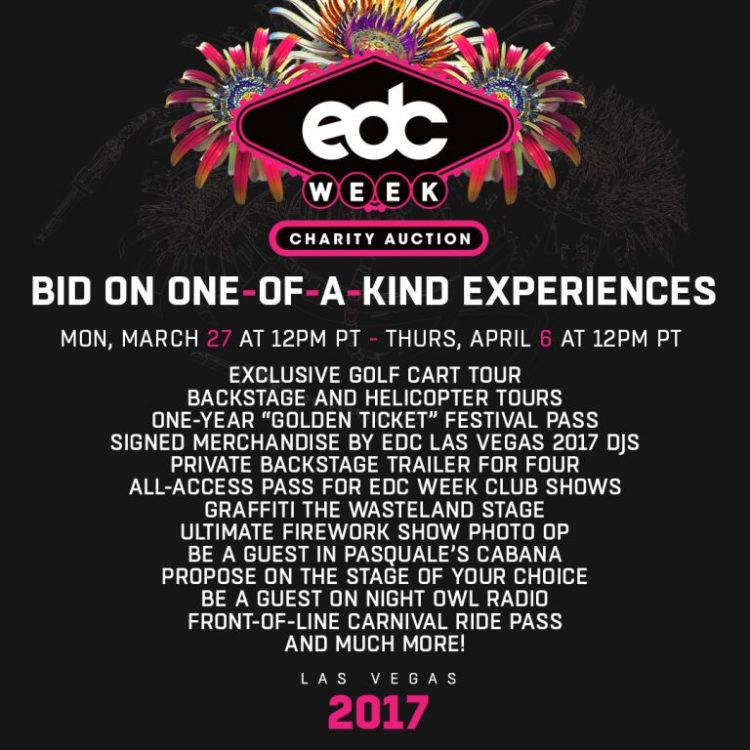 edc_week_2017_an_charity_auction_wave_1_1080x1080_r02_compressed
